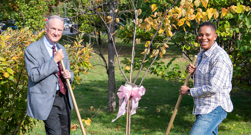 Tree Planting
