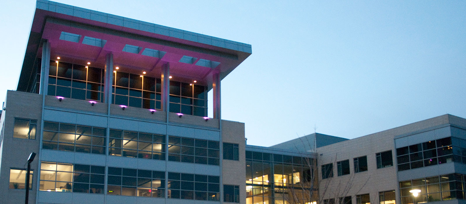 HCC_purple_lights.jpg