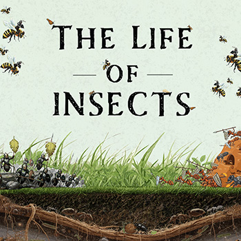 The Life of Insects by Karel and Josef Capek.