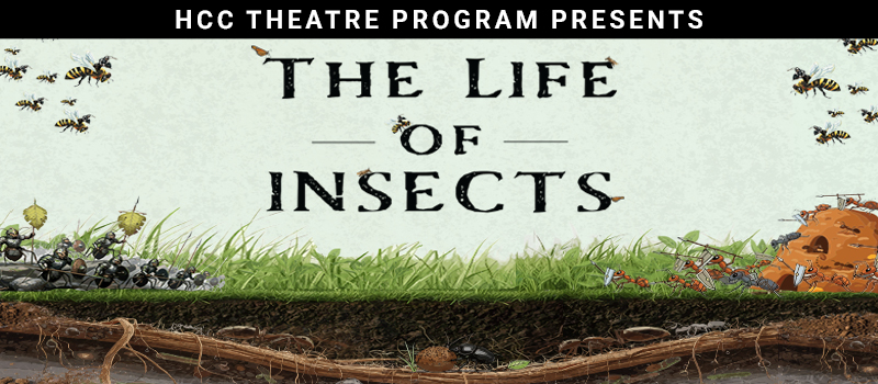 The Life of Insects by Karel and Josef Capek.