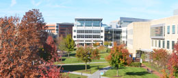 daca and dream act students at hcc