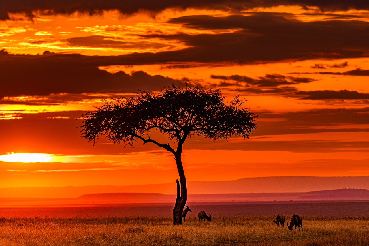 Nairobi